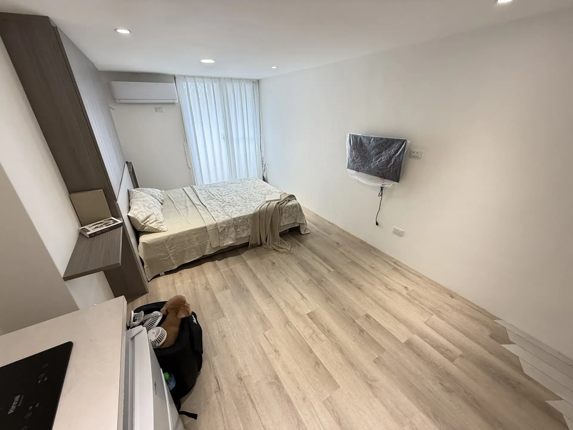 S 498368537 0