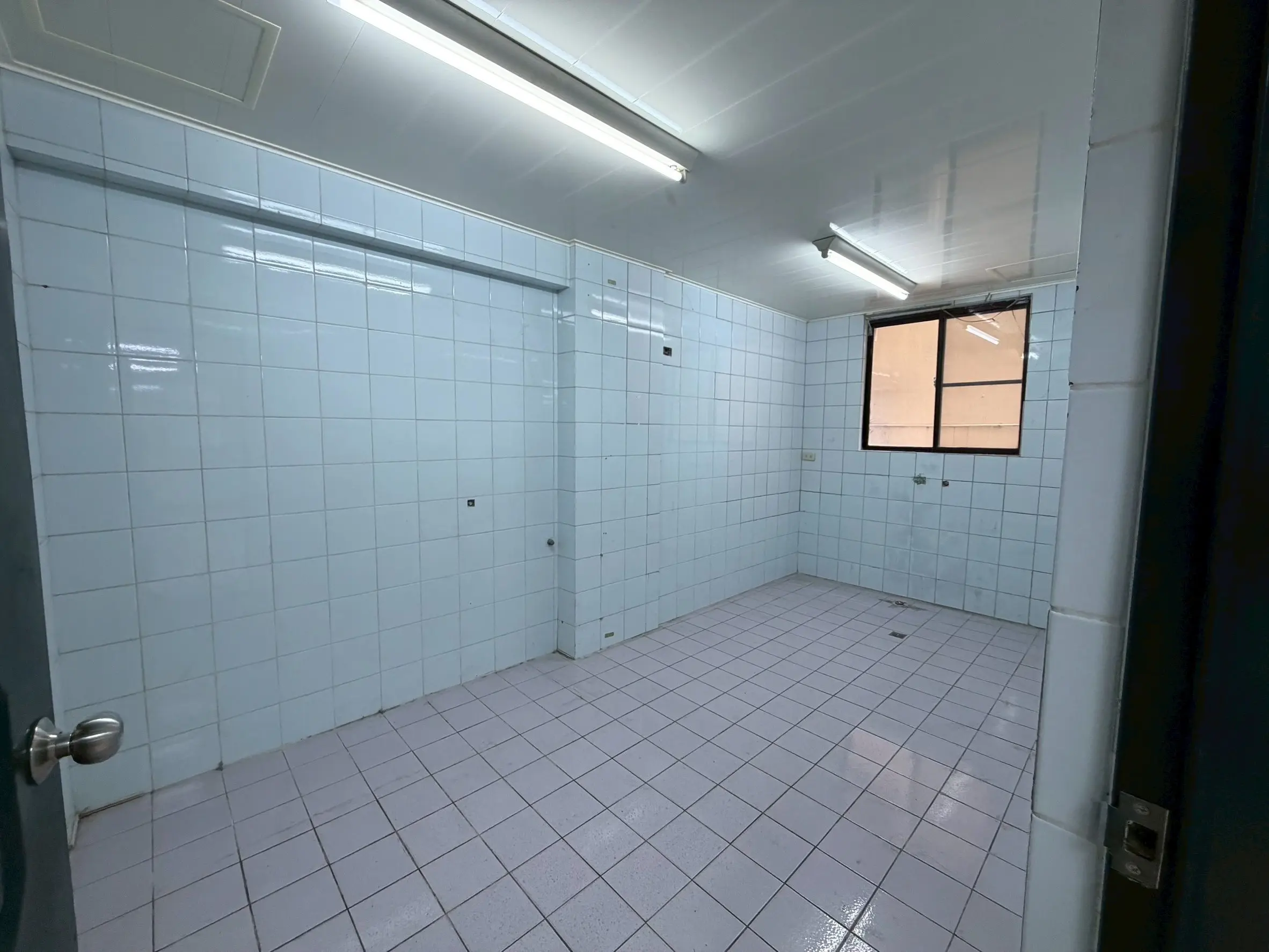 S 16678953 0
