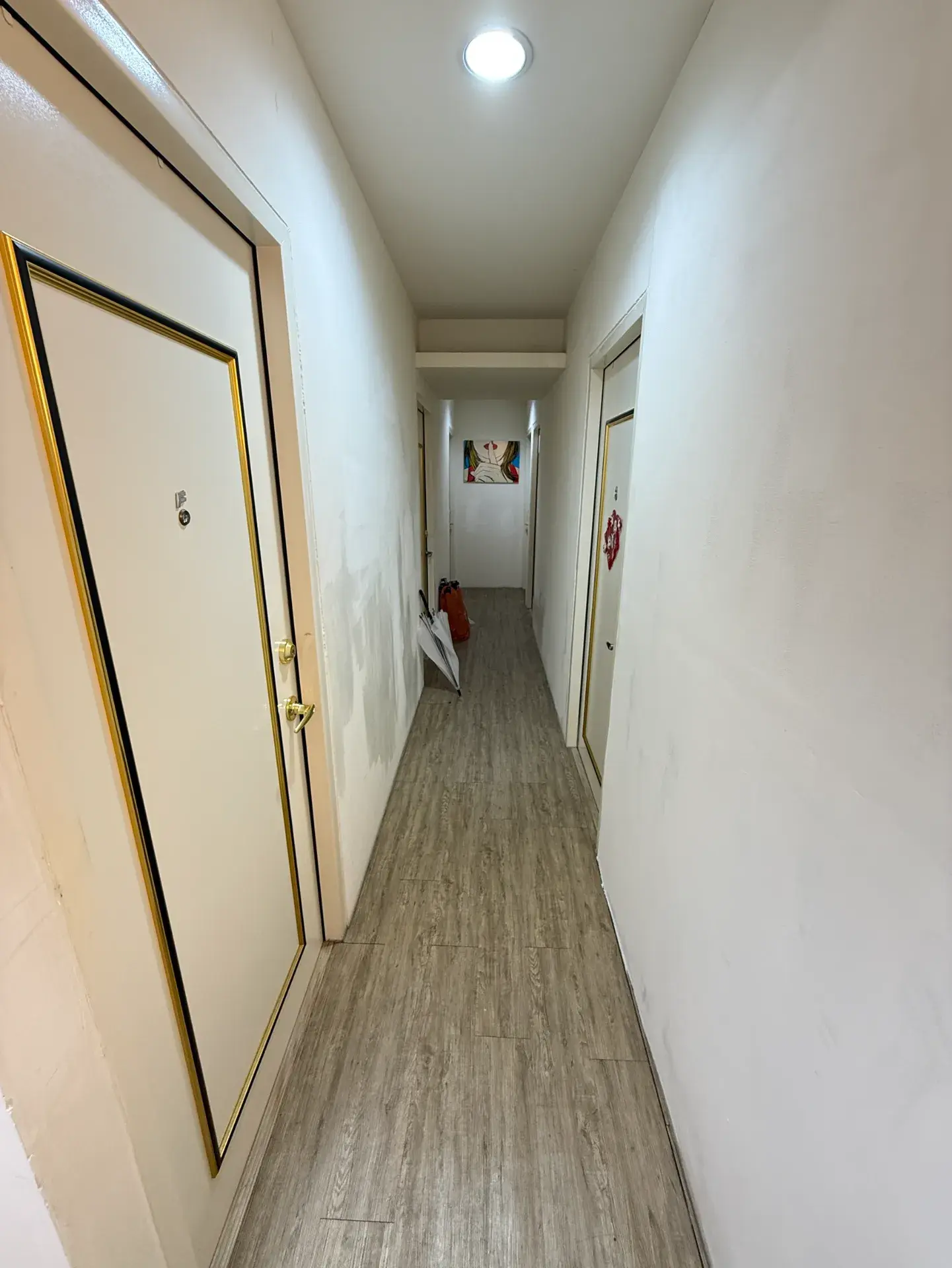 S 513925149 0